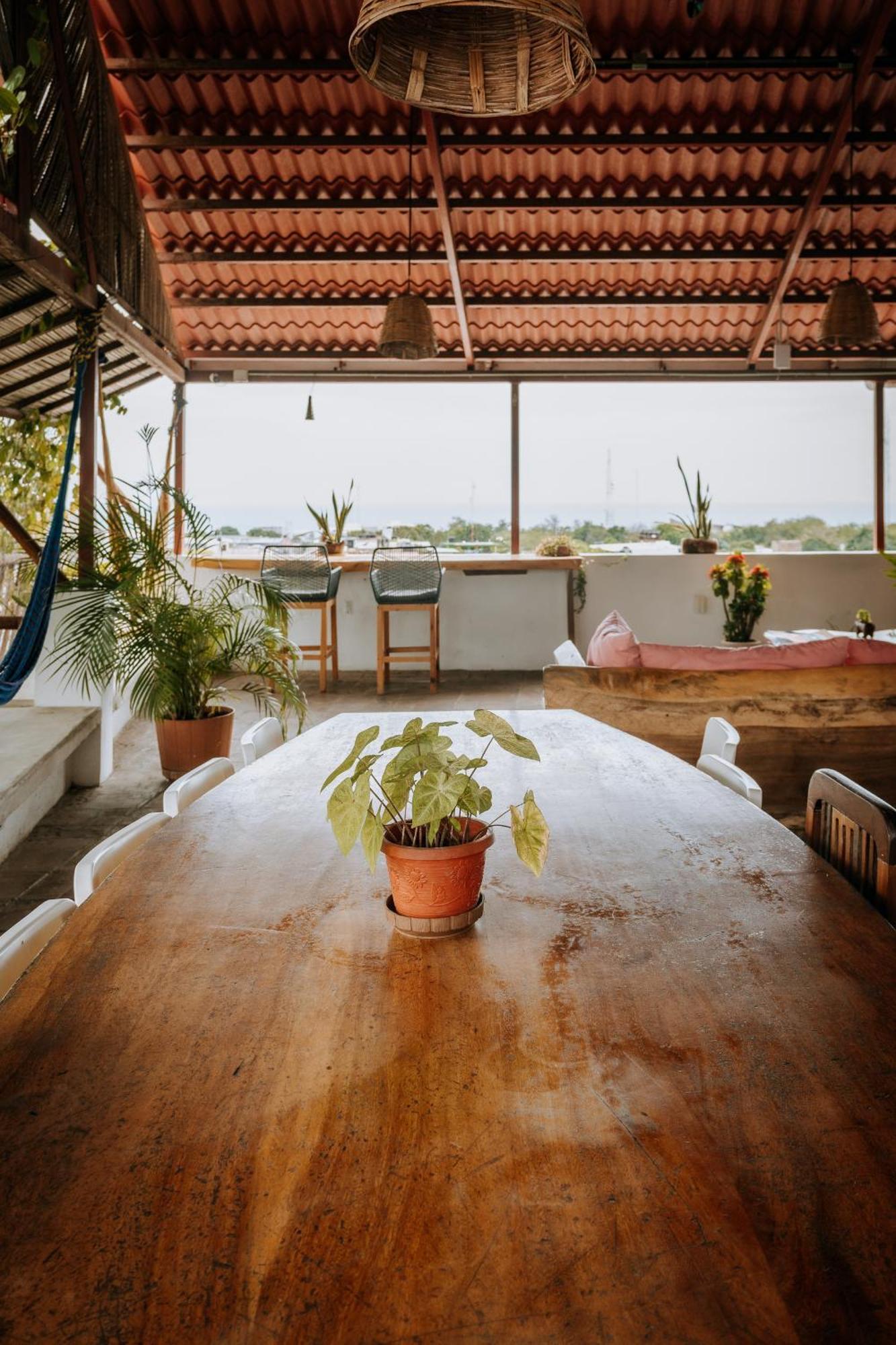Terraza Puerto Hostel Puerto Escondido  Kültér fotó